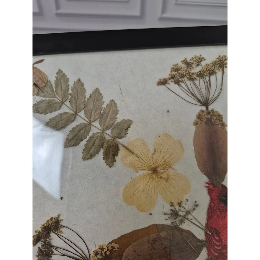 Pressed Flower Botanical Art Framed Red Cardinal Bird Wall Decor 12.5x12.5